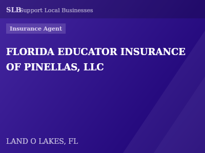 FLORIDA EDUCATOR INSURANCE OF PINELLAS, LLC — Insurance Agent in LAND O LAKES, FL