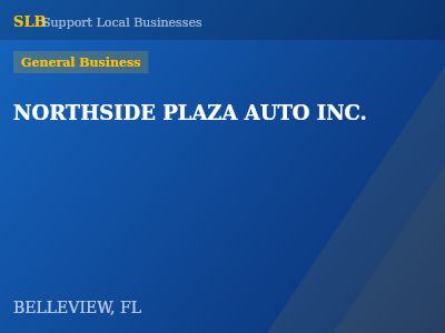 NORTHSIDE PLAZA AUTO INC. — General Business in BELLEVIEW, FL