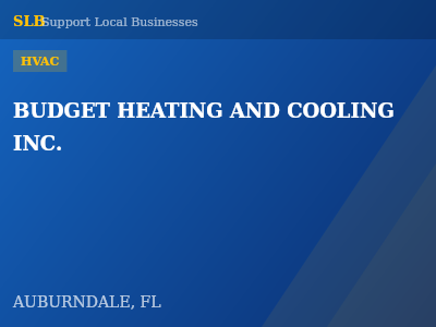 BUDGET HEATING AND COOLING INC. — HVAC in AUBURNDALE, FL