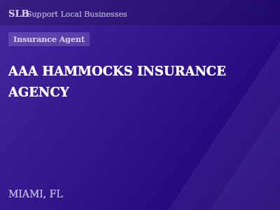 AAA HAMMOCKS INSURANCE AGENCY — Insurance Agent in MIAMI, FL