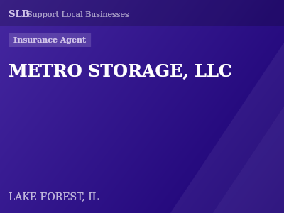 METRO STORAGE, LLC — Insurance Agent in LAKE FOREST, IL