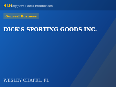 DICK'S SPORTING GOODS INC. — General Business in WESLEY CHAPEL, FL