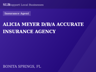 ALICIA MEYER D/B/A ACCURATE INSURANCE AGENCY — Insurance Agent in BONITA SPRINGS, FL
