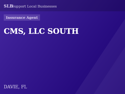 CMS, LLC SOUTH — Insurance Agent in DAVIE, FL