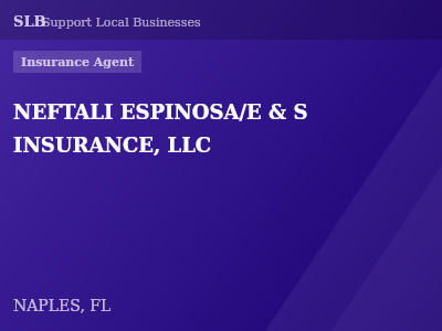NEFTALI ESPINOSA/E & S INSURANCE, LLC — Insurance Agent in NAPLES, FL