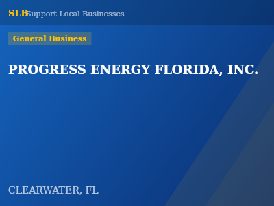 PROGRESS ENERGY FLORIDA, INC. — General Business in CLEARWATER, FL