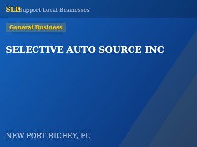 SELECTIVE AUTO SOURCE INC — General Business in NEW PORT RICHEY, FL