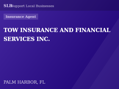 TOW INSURANCE AND FINANCIAL SERVICES INC. — Insurance Agent in PALM HARBOR, FL