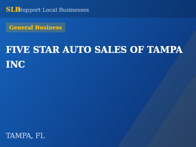 FIVE STAR AUTO SALES OF TAMPA INC — General Business in TAMPA, FL