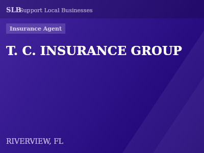 T. C. INSURANCE GROUP — Insurance Agent in RIVERVIEW, FL