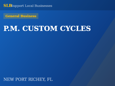 P.M. CUSTOM CYCLES — General Business in NEW PORT RICHEY, FL
