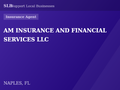 AM INSURANCE AND FINANCIAL SERVICES LLC — Insurance Agent in NAPLES, FL