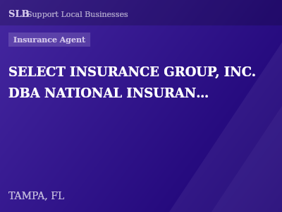 SELECT INSURANCE GROUP, INC. DBA NATIONAL INSURANCE AGENCIES — Insurance Agent in TAMPA, FL
