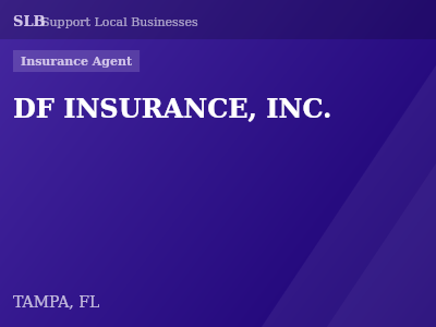 DF INSURANCE, INC. — Insurance Agent in TAMPA, FL