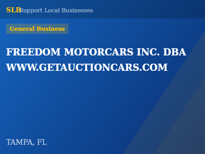 FREEDOM MOTORCARS INC. DBA WWW.GETAUCTIONCARS.COM — General Business in TAMPA, FL