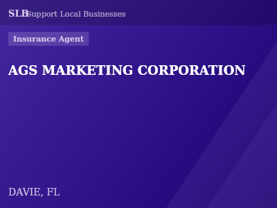 AGS MARKETING CORPORATION — Insurance Agent in DAVIE, FL