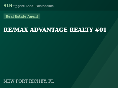 RE/MAX ADVANTAGE REALTY #01 — Real Estate Agent in NEW PORT RICHEY, FL