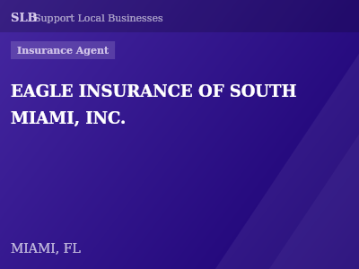 EAGLE INSURANCE OF SOUTH MIAMI, INC. — Insurance Agent in MIAMI, FL
