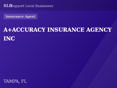 A+ACCURACY INSURANCE AGENCY INC — Insurance Agent in TAMPA, FL