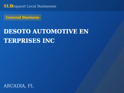 DESOTO AUTOMOTIVE EN TERPRISES INC — General Business in ARCADIA, FL
