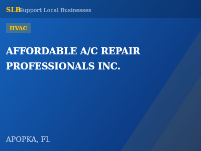 AFFORDABLE A/C REPAIR PROFESSIONALS INC. — HVAC in APOPKA, FL
