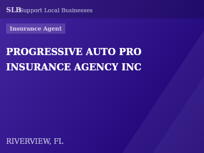 PROGRESSIVE AUTO PRO INSURANCE AGENCY INC — Insurance Agent in RIVERVIEW, FL