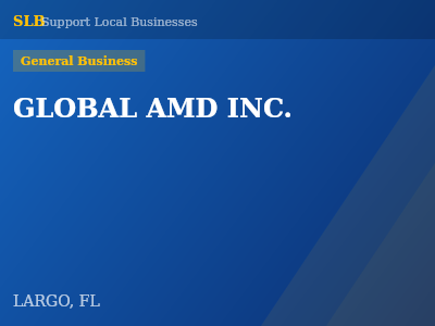 GLOBAL AMD INC. — General Business in LARGO, FL