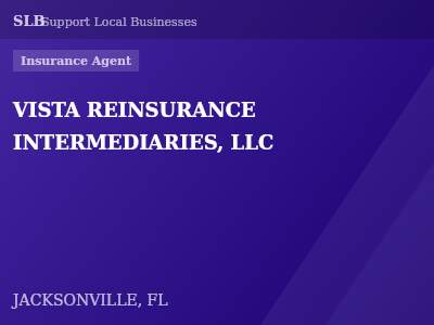 VISTA REINSURANCE INTERMEDIARIES, LLC — Insurance Agent in JACKSONVILLE, FL