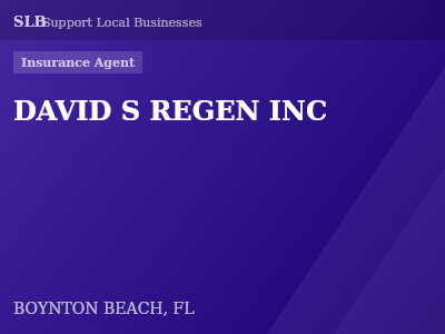 DAVID S REGEN INC — Insurance Agent in BOYNTON BEACH, FL