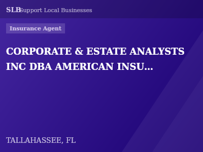 CORPORATE & ESTATE ANALYSTS INC DBA AMERICAN INSURANCE SERVICES — Insurance Agent in TALLAHASSEE, FL
