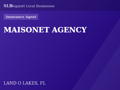 MAISONET AGENCY — Insurance Agent in LAND O LAKES, FL