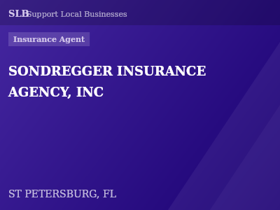 SONDREGGER INSURANCE AGENCY, INC — Insurance Agent in ST PETERSBURG, FL