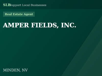 AMPER FIELDS, INC. — Real Estate Agent in MINDEN, NV