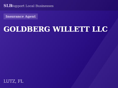 GOLDBERG WILLETT LLC — Insurance Agent in LUTZ, FL