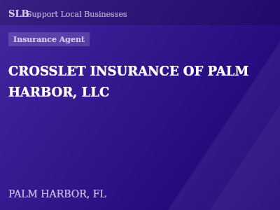 CROSSLET INSURANCE OF PALM HARBOR, LLC — Insurance Agent in PALM HARBOR, FL