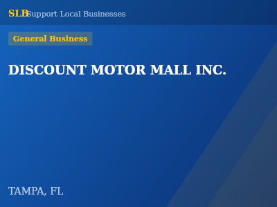 DISCOUNT MOTOR MALL INC. — General Business in TAMPA, FL