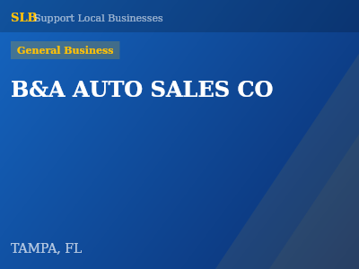 B&A AUTO SALES CO — General Business in TAMPA, FL