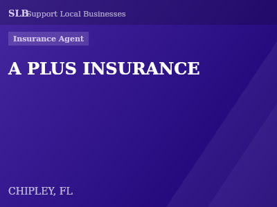 A PLUS INSURANCE — Insurance Agent in CHIPLEY, FL