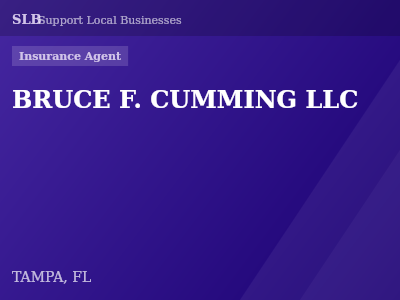 BRUCE F. CUMMING LLC — Insurance Agent in TAMPA, FL