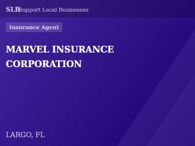 MARVEL INSURANCE CORPORATION — Insurance Agent in LARGO, FL