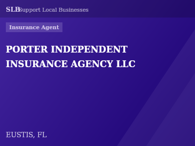 PORTER INDEPENDENT INSURANCE AGENCY LLC — Insurance Agent in EUSTIS, FL