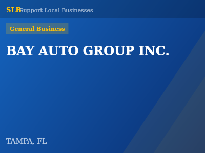 BAY AUTO GROUP INC. — General Business in TAMPA, FL