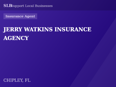 JERRY WATKINS INSURANCE AGENCY — Insurance Agent in CHIPLEY, FL