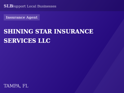 SHINING STAR INSURANCE SERVICES LLC — Insurance Agent in TAMPA, FL