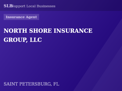 NORTH SHORE INSURANCE GROUP, LLC — Insurance Agent in SAINT PETERSBURG, FL