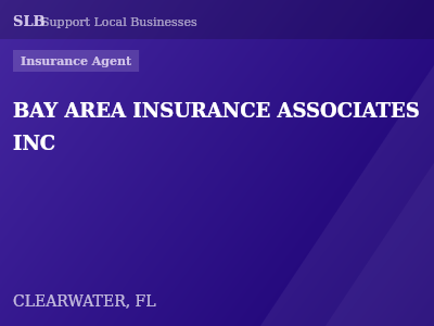 BAY AREA INSURANCE ASSOCIATES INC — Insurance Agent in CLEARWATER, FL