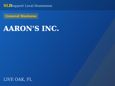 AARON'S INC. — General Business in LIVE OAK, FL
