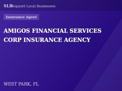AMIGOS FINANCIAL SERVICES CORP INSURANCE AGENCY — Insurance Agent in WEST PARK, FL