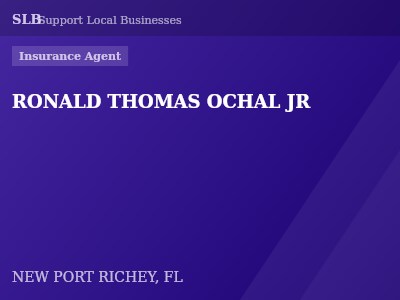 RONALD THOMAS OCHAL JR — Insurance Agent in NEW PORT RICHEY, FL