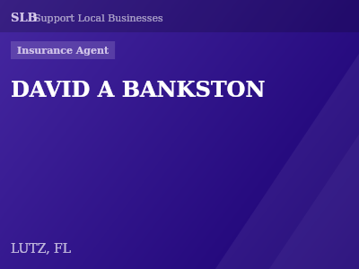 DAVID A BANKSTON — Insurance Agent in LUTZ, FL